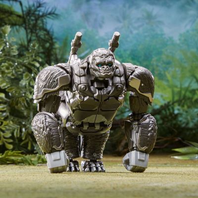[In Stock] Hasbro Transformers Rise Of The Beasts Optimus Primal Voyager 14Cm Movie Figure Art Action Collection Model Gift Toys