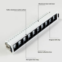 Dimmable single row rectangular LED ceiling spotlight 2W 4W 10W 20W 30W LED recessed downlight for living room aisle light