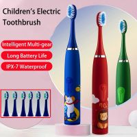 ZZOOI Sarmocare Kids Sonic Electric Toothbrush Battery Powered Smart Timer Cartoon Pattern Children with Replace Tooth Brush Head