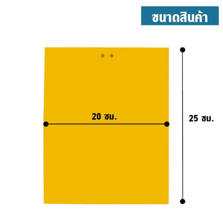 แผ่นกาวดักแมลง-กระดานดักแมลง-ที่ดักแมลง-กาวเหนียว-2-ด้าน-สีเหลือง-ขนาด-20x25ซม-แบบ-10-ชิ้น-no-ks082