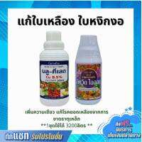 ส่งฟรี มีโปร ปุ๋ย กิฟฟารีน บลู-คีเลต + ลิคควิดไอออน แก้ใบเหลือง ใบหงิกงอ ใบไม่เขียว สร้างคลอโรฟิลล์ ให้ใบเขียวเข้ม