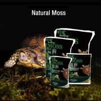 100200g NATURAL Terrace MOSS สัตว์เลื้อยคลานเต่า MOSS พื้นผิวตกแต่งที่อยู่อาศัย Rainforest MOSS