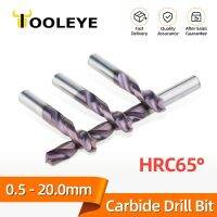 Tooleye HRC65° Tungsten Carbide Drills Metal Drill Bits For Super Hard Metalworking CNC Lathe Steel Drilling Tools 0.5-20.0mm