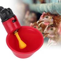 【Clearance Sale】10 ชิ้นไก่อัตโนมัติดื่ม Waterer ชามน้ำน้ำดื่มเครื่องมือกรง Accessories