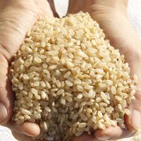 ?Import Item? 0분도현미 ข้าวกล้องเกาหลี Korean ฺBrown Rice 1kg./5kg.5kg