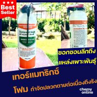 Termatrix Foam เทอร์มาทริกซ์ โฟม โฟมกำจัดปลวก ขนาด 500 กรัม