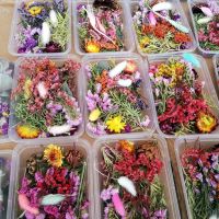 Pressed Flowers Small Dried Flowers Scrapbooking Dry DIY Preserved Flower Decoration Home Mini Bloemen Flores Secas