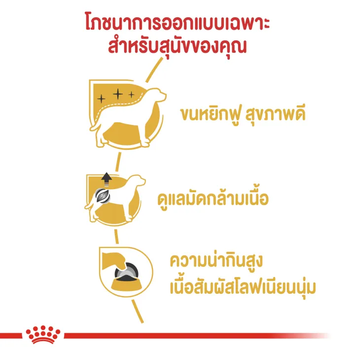 12ซอง-royal-canin-poodle-wet-85g-อาหารเปียกสำหรับสุนัขพันธุ์พุดเดิ้ล