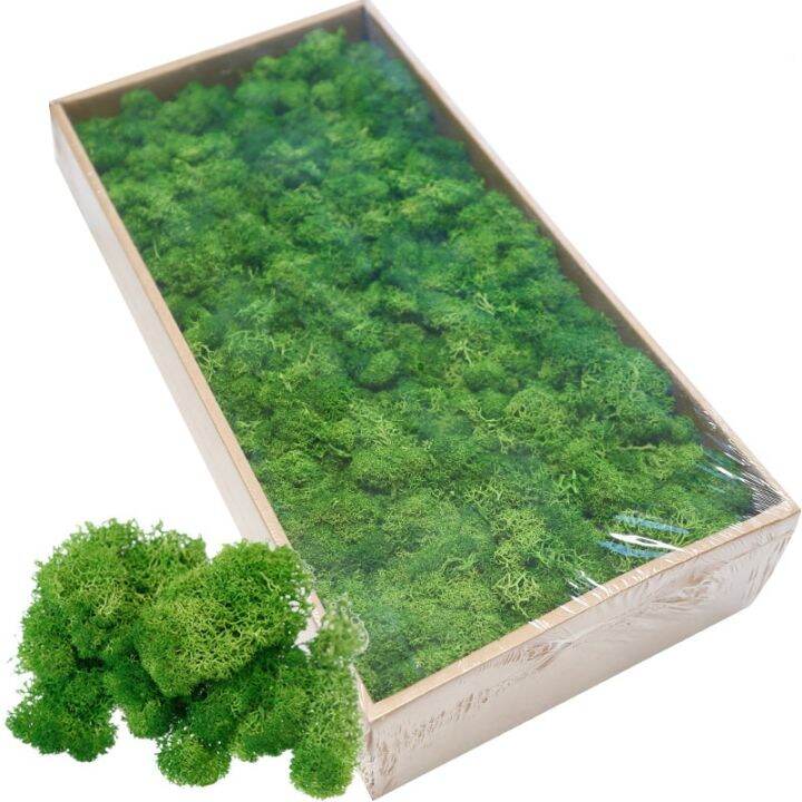 20-40g-simulation-plants-eternal-life-moss-gardening-home-decor-wall-diy-flower-material-mini-micro-landscape-accessories-spine-supporters