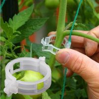 50 pcs มะเขือเทศผู้ถือ Applicator ผัก Melon Plant Buckle Plant คลิปพลาสติก Tie โฟลเดอร์ความยืดหยุ่นไม่ทำร้ายต้นกล้า