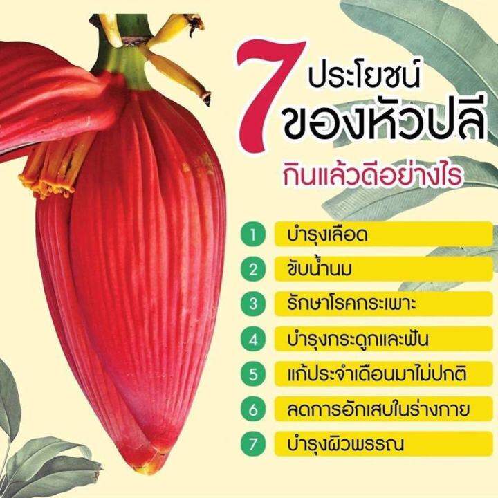 ส่งฟรี-โปร1แถม1เพียง250-สูตรเพิ่มน้ำนม-บำรุง-กระตุ้นสร้างน้ำนม-ให้คุณแม่เพื่อลูกน้อยสุขภาพดี-ดื่มชาต้นรักนมมาแน่