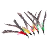 5 ชิ้นสำหรับ Cat Wand Feather ของเล่นชุด Feathers Teaser เปลี่ยน Funny Interactive สำหรับ Cat Feather ของเล่นสำหรับ Cat Pet Kitte