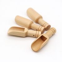 Japanese-style Mini Wooden Measuring Spoon Spice Tea Powder Spoon Multipurpose Tableware Wooden Spoon Cables