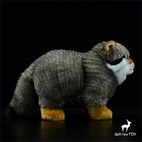 2023ใหม่แมวบริภาษคุณภาพสูงแมวดัลลัสน่ารัก Plushie Manul ของเล่นตุ๊กตาเหมือนจริงสัตว์จำลองตุ๊กตายัดไส้ Kawai ของขวัญของเล่นเด็ก