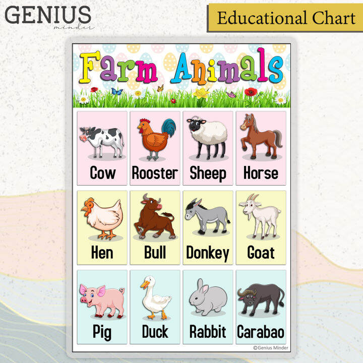 FARM ANIMALS Educational Laminated Chart - Preschool Learning Study ...