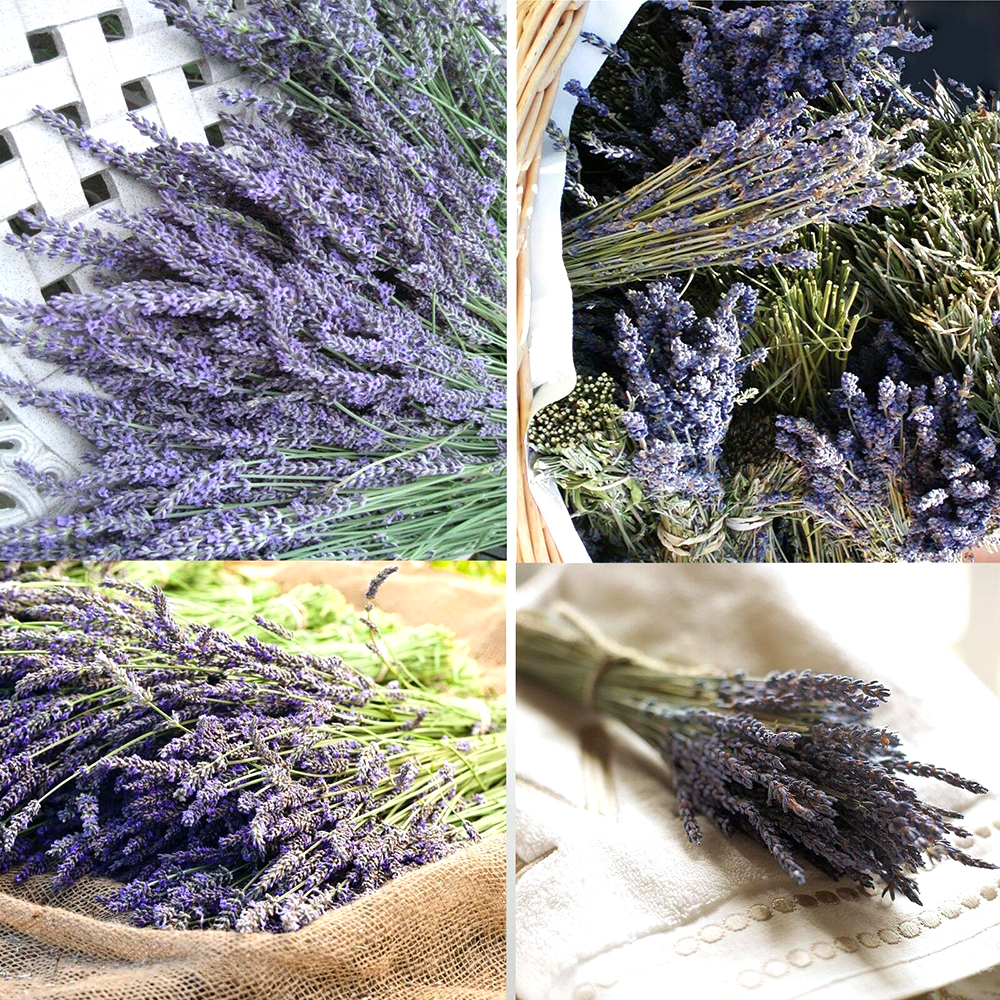Living Room Immortal Natural Lavender Flower Bouquet Dried Flowers Home Decor 