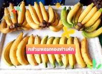 กล้วยหอมทอง ราคาถูก กิโลกรัมละ 20 บาท อร่อย เกรด B เหมาะสำหรับใช้ทำเค้กกล้วยหอม หรือรับประทานเพื่อสุขภาพ ราคาถูกๆ