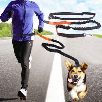 Dogs Leash Running Elasticity Hand Freely Pet Products Dogs Harness Collar Jogging Lead Adjustable Flexible Traction Waist Rope