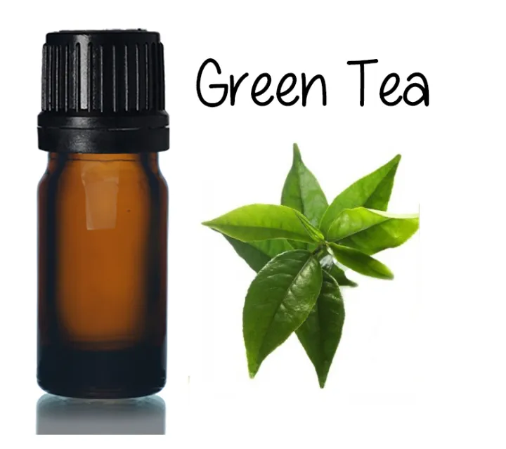 Pure Green Tea essential oil 5ml Lazada PH