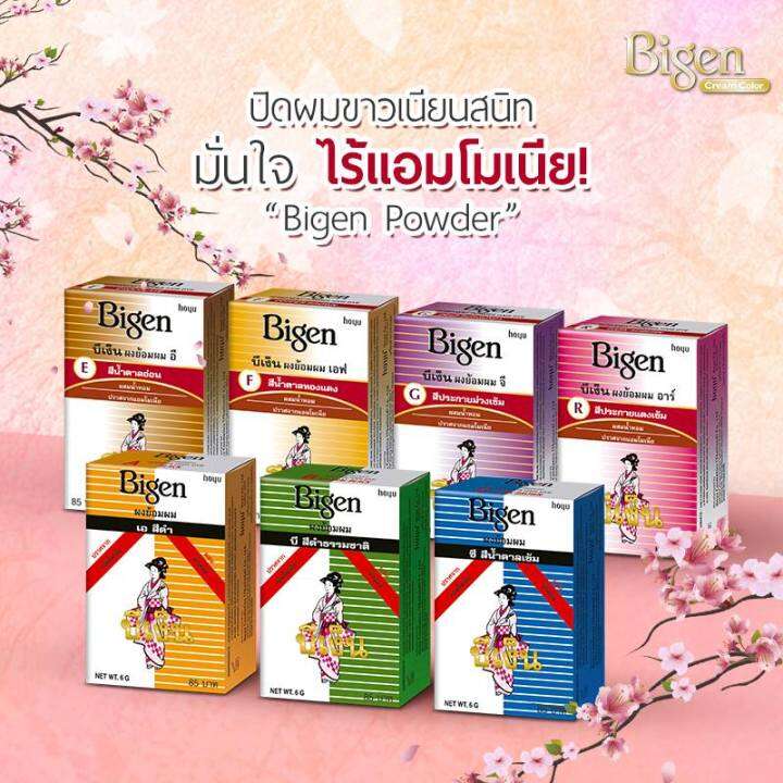 bigen-powder-6-กรัม-บีเง็น-ผงย้อมผม-ยาย้อมผม-สีย้อมผม-สีผม-สูตรอ่อนโยน-ไม่มีแอมโมเนีย-ปิดผมขาว-ได้อย่างมั่นใจ