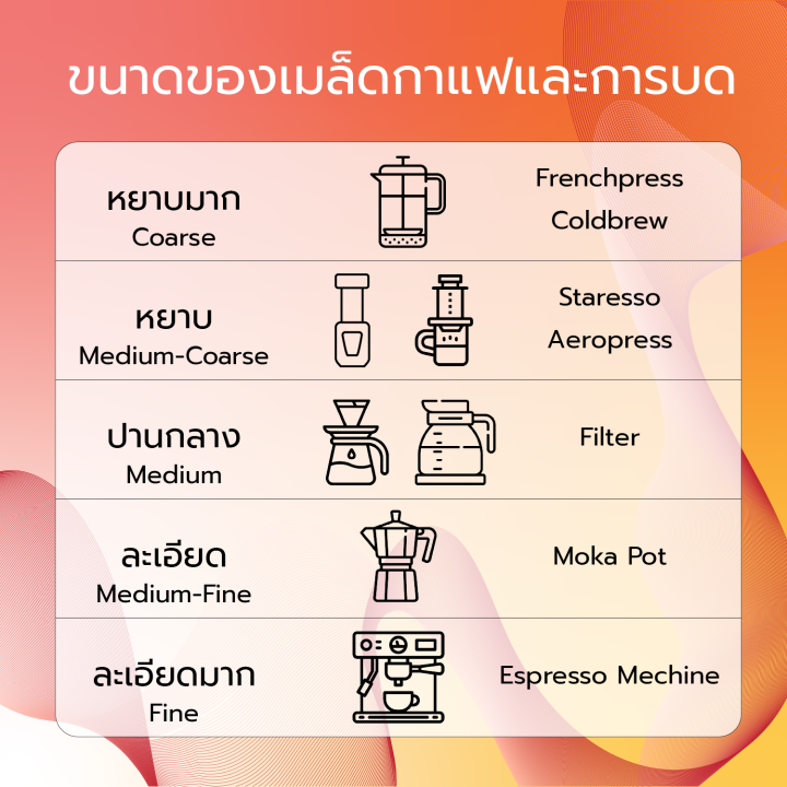 เมล็ดกาแฟคั่ว-myanmar-shan-dry-คั่วอ่อน-light-to-medium-roast-hint-coffee-roaster