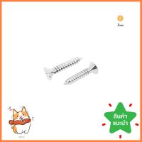 สกรูเกลียวปล่อย TF DEXZON 10X1 นิ้ว แพ็ก 30 ชิ้นSELF-TAPPING SCREW TF DEXZON 10X1IN 30PCS **สินค้าแนะนำ**