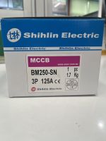 เซอร์กิตเบรกเกอร์ BM-250CN3P125A