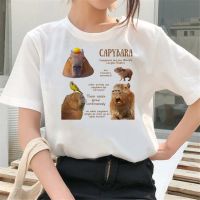 【New】Shiba Inu shop เสื้อไม่ต้องรีด  Capybara เสื้อยืด สีขาว พิมพ์ลาย 2022 สไตล์ญี่ปุ่น สตรีท สําหรับผู้หญิง y2k