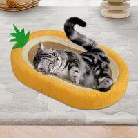 Cat Scratcher ที่นอนรูปไข่สำหรับ Cat Kitten Training Toy Furniture Protector