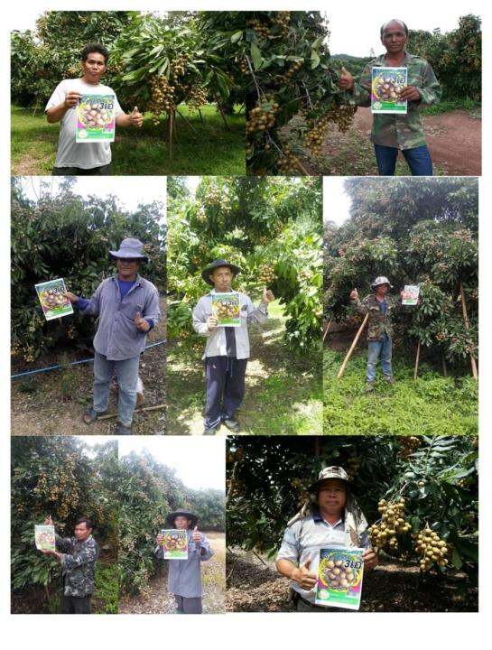 จัมโบ้-3-เอ-jumbo-aaa-ฮอร์โมน-เร่งการเจริญเติบโต-เพิ่มขนาดและน้ำหนักของผลผลิต-อย่างรวดเร็ว-ผสมน้ำได้-1000-ลิตร