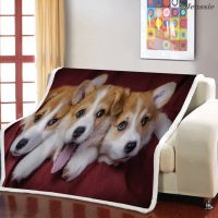 Golden Retriever Husky 3D Printing Sofa Blanket Pet Dog Plush Throw Blanket Shiba Inu Puppy Print Sherpa Fleece Blanket For Beds