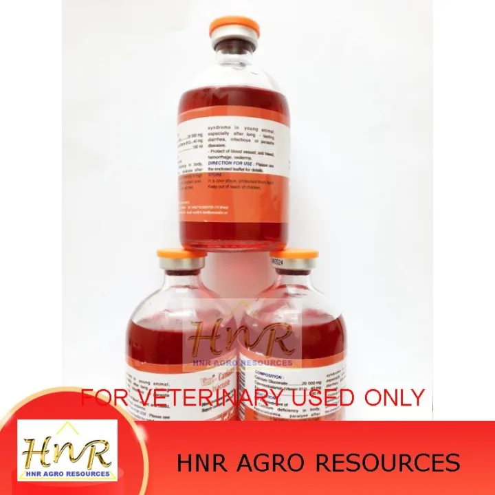 1 btl Calcium 20 000 Mg + B12 40 mg Expired 19 jan 2024 Lazada