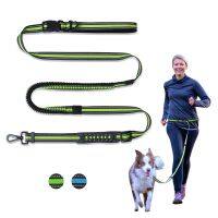 Reflective Dog Leash Telescopic Pet Running Tracking Belt Long Line Leash Waist Adjustable Small Dogs Nylon Hands-Free Run Belt