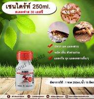 เชนไดร้ท์ 250ml. สเตดฟาส 30 เอสซี ไบเฟนทริน กำจัดปลวก มด แมลงสาบ หมัด เห็บ ตัวสามง่าม แมลงวัน ยุง แมลงคลานอื่นๆ allaboutplants