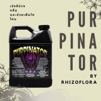 [พร้อมส่ง]!!!ลดPurpinator by Rhizoflora เร่งสีม่วง กลิ่น และช่วยเพิ่มไตโคม[สินค้าใหม่]