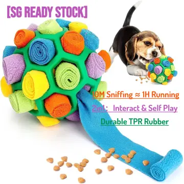 Dog Interactive Toys Best In