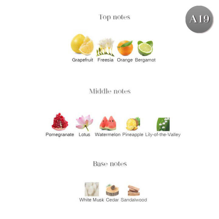 หัวน้ำหอม-a19-dr-advice-adic-2-w-05-เทียบกลิ่น-เกรดพรีเมี่ยม-ปริมาณ-200กรัม