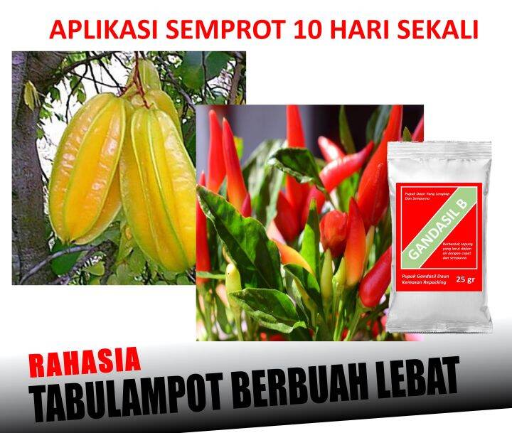 Pupuk Gandasil B - Pupuk Bunga Dan Buah 25 Gr PUPUK NPK LENGKAP ZPT ...