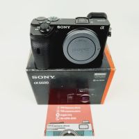 Sony A6600 Body