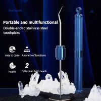 Holiday Discounts Stainless Steel Toothpick Portable Double-Headed Toothpick Multiftional Toothpick Bottle Fruit Fork Stronger Than Dental Flos