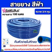 สายยางสีฟ้า Sakura ขนาด 3/4 (6หุน) ยาว 100เมตร สายยางเด้ง เนื้อยางเด้ง เกรด A ยางอ่อนยืดหยุ่นพิเศษ สายยางรดน้ำต้นไม้ สายยางล้างรถ