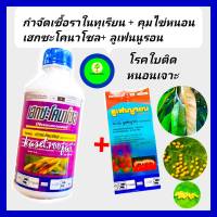 ชุด กำจัดโรคในทุเรียน และ คุมไข่หนอน ทุเรียน เฮกซะโคนาโซล 1ลิตร +ลูเฟนนูรอน 500 ccโรคใบติด ใบไหม้ แอนแทรคโนส คุมไข่หนอน หนอนเจาะ หนอนชอนใบ