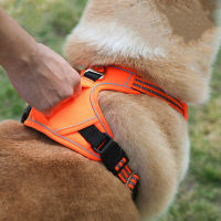 Sports Chest Harness Vertical Handle Dog Traction Vest Explosion-Proof Punch Dog Collar And Leash Set Dog Collar