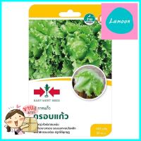 เมล็ดพันธุ์ผักกาดแก้ว กรอบแก้ว ศรแดงICEBERG LETTUCE SEEDS SORNDAENG KROBKEAW **ขายดีที่สุด**