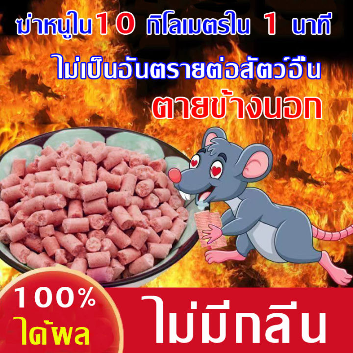 ได้ผล-100-ยาเบื่อหนูตายแห้ง-ยาเบื่อหนู-กําจัดหนู-ยาฆ่าหนู-ยาเบื่อหนูชนิดรุนแรง-ไม่เป็นอันตรายต่อสัตว์อื่น-ไม่มีกลิ่น-ยาเบื่อ-หนูแห้ง-สเปรย์ไล่หนู-ไล่หนูถาวร-ยาไล่หนู-เหยื่อกําจัดหนู