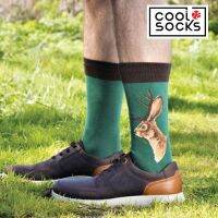 Cooldesocks ถุงเท้าแท้ | แจ็คคาโลป สีเขียว (รหัส 0270)