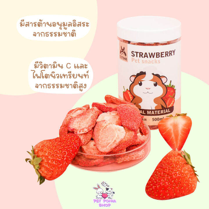 ผัก-ผลไม้รวมอบแห้ง-ฟรีซดราย100-สำหรับสัตว์ฟันแทะ-freeze-dry-fruits-and-vegetables