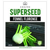 ?HOT? เมล็ดพันธุ์เฟนเนล ชัยโย 100 เมล็ด FENNEL (FLORENCE) 100 SEEDS