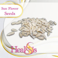 เมล็ดทานตะวัน ดิบ Sunflower Seeds สินค้านำเข้า  Sunflower Seed raw ผลไม้อบแห้ง ปราศจากน้ำตาล เหมาะสำหรับทุกเพศทุกวัย  Premium Products