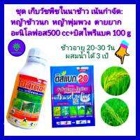 ชุด เก็บหญ้าในนาข้าว อายุ 20-30 วัน หญ้าดื้อยา วัชพืชตายยาก  อะนิโลฟอส 30% 500 + บิสไพรีแบค โซเดียม 20% ขนาด 100 g หญ้าข้าวนก หญ้าพุ่มพวง หญ้าลิเก